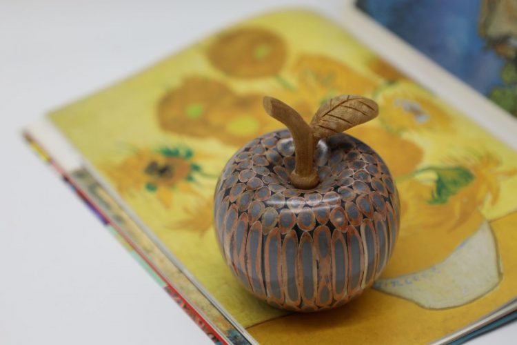 Decorative Wooden Colored-pencil Aleo Apple