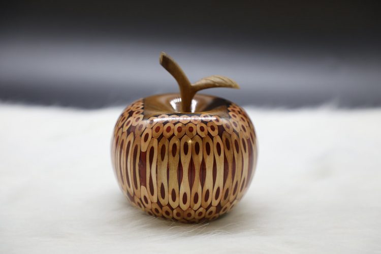 Decorative Wooden Colored-pencil Deleo Apple